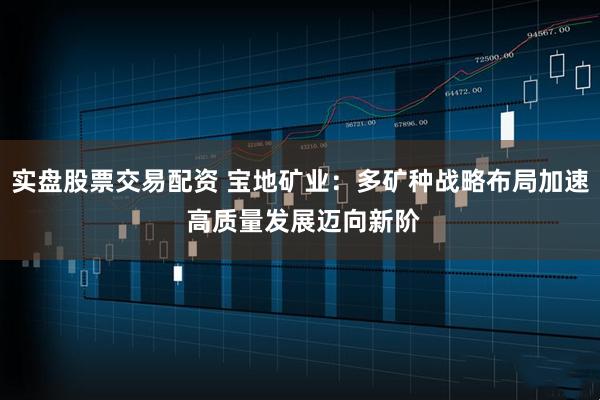 实盘股票交易配资 宝地矿业：多矿种战略布局加速 高质量发展迈向新阶