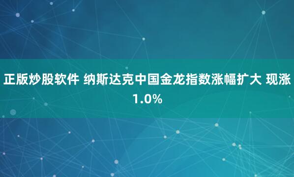 正版炒股软件 纳斯达克中国金龙指数涨幅扩大 现涨1.0%